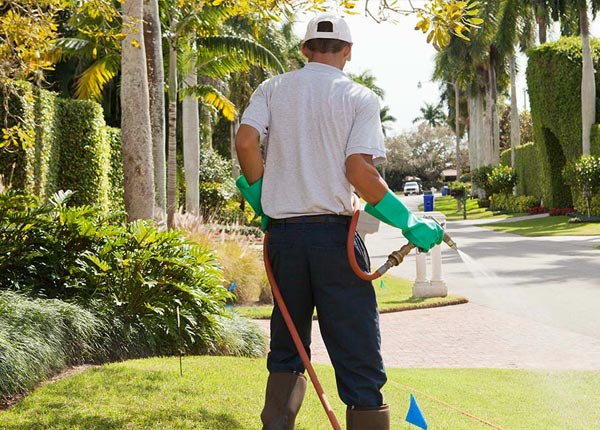 About Cato NY Pest Control